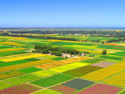 智慧灌區信息化系統助力灌區節水，打造綠色生態新農業