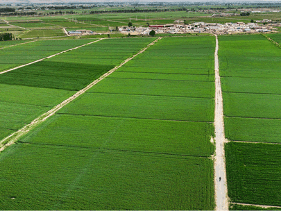 如何選擇一款經濟高效的以電折水設備？